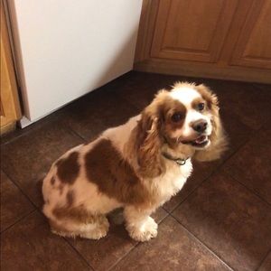 Meet your Posher, Amy